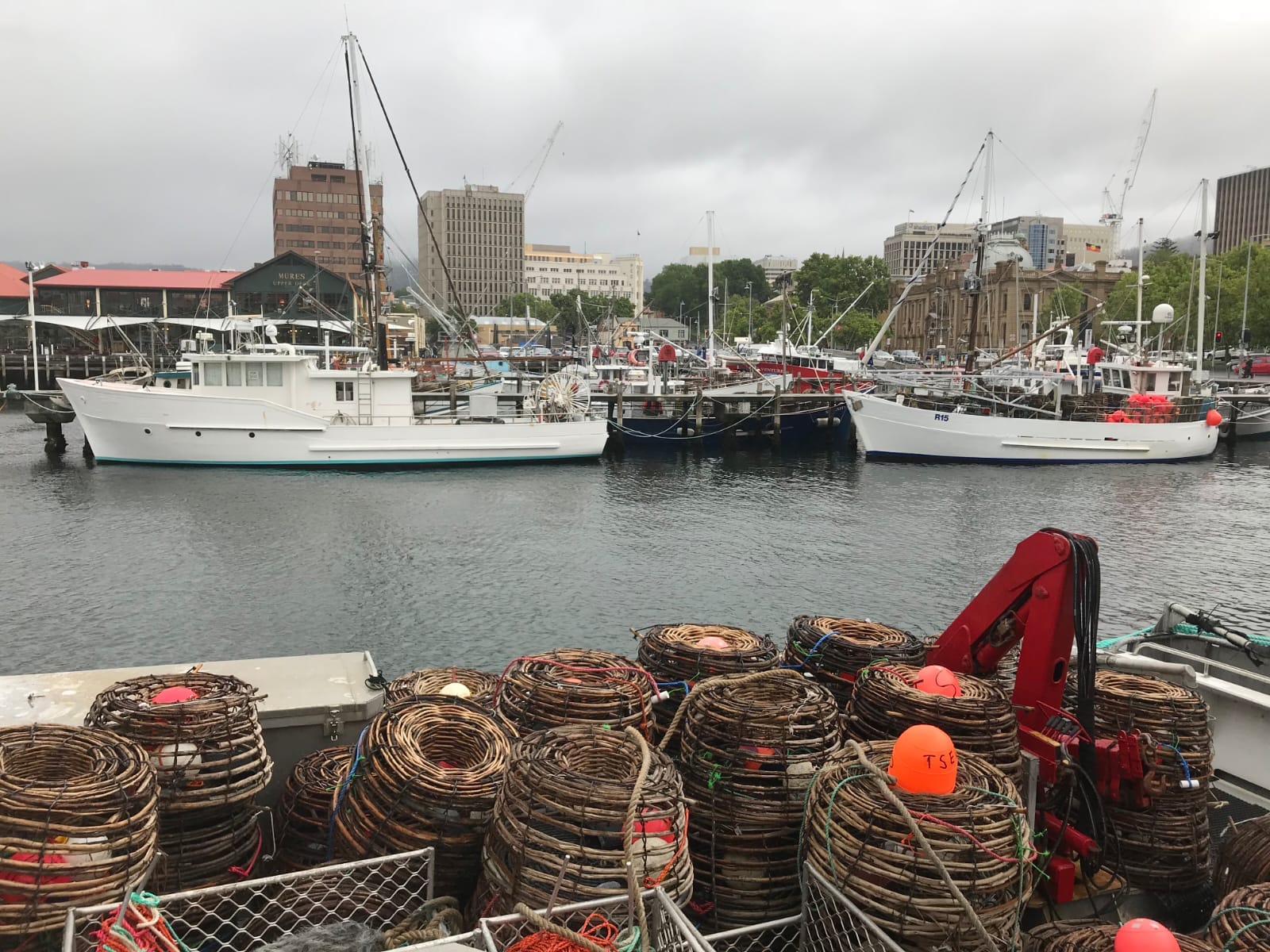 MALS and Global Trade​