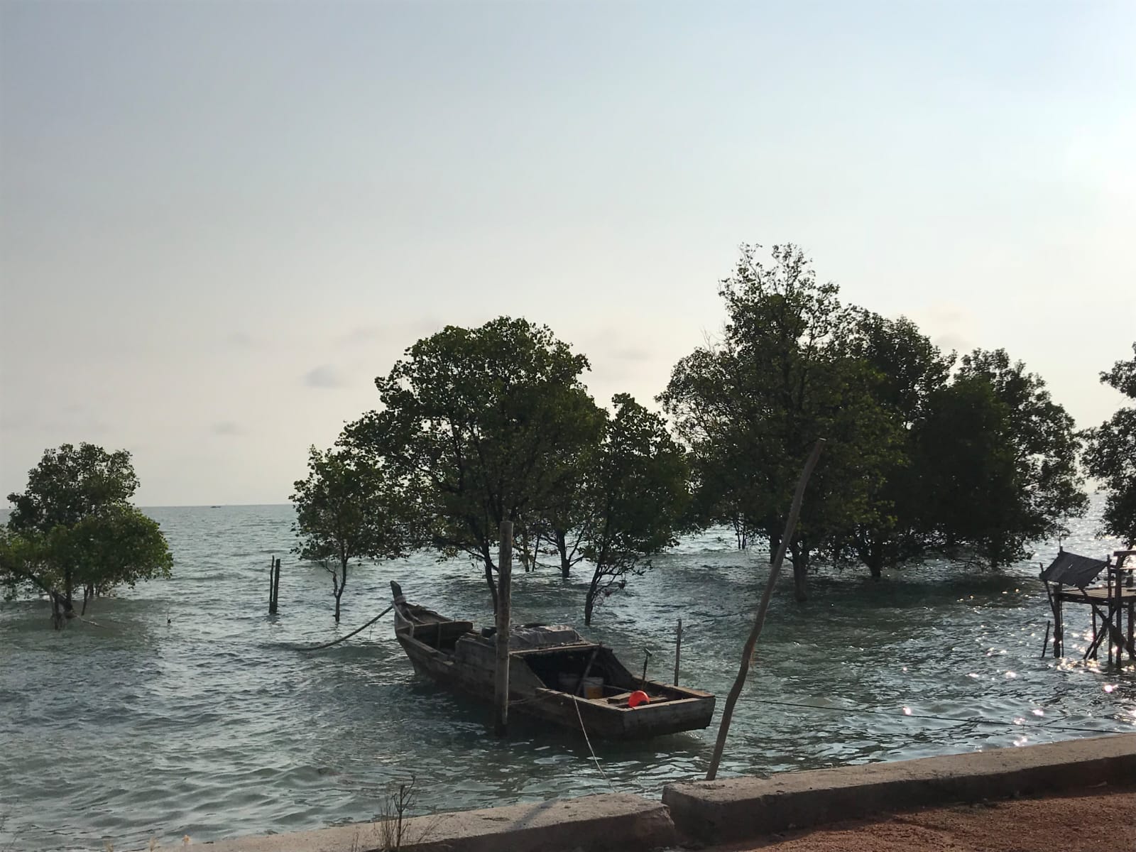 MALS and Human Rights​